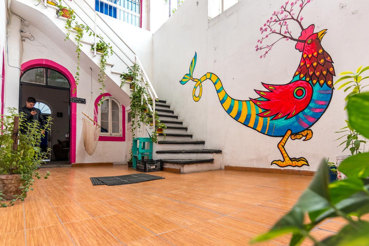 Taiyari Hostal Monterrey Exteriör bild