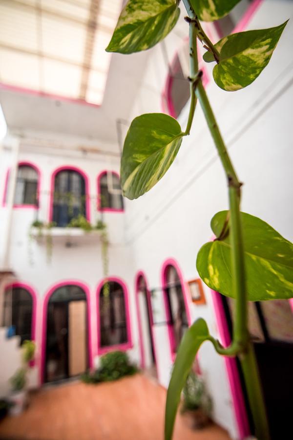 Taiyari Hostal Monterrey Exteriör bild